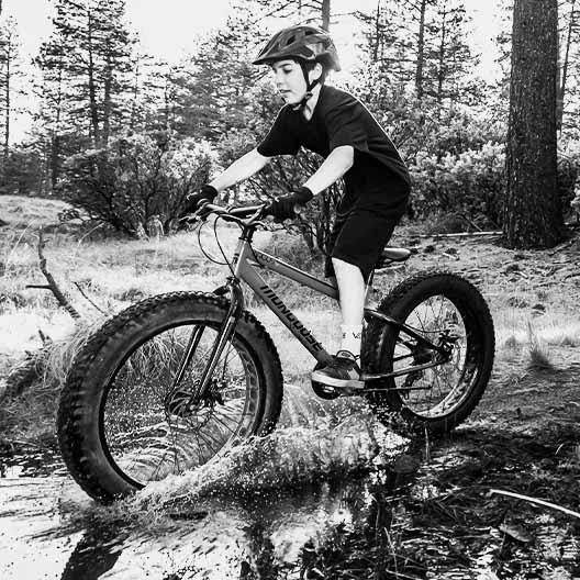 Fat Bike image