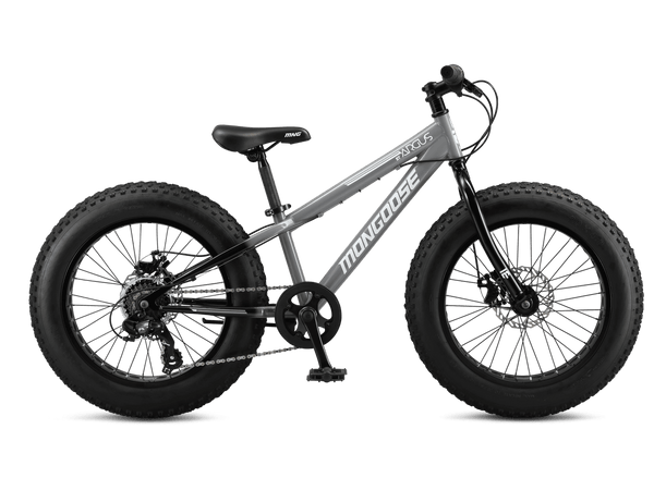 Mongoose fatboy bike online