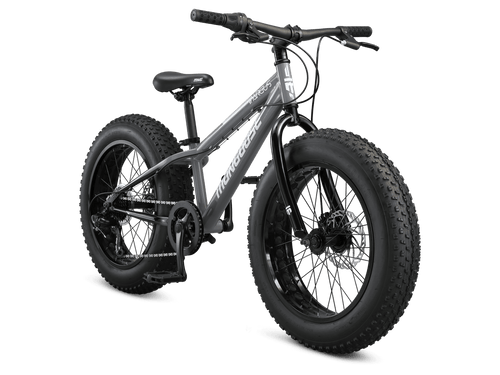 Argus ST Adult Hardtail Fat Tire Bike 20 Wheels Mongoose