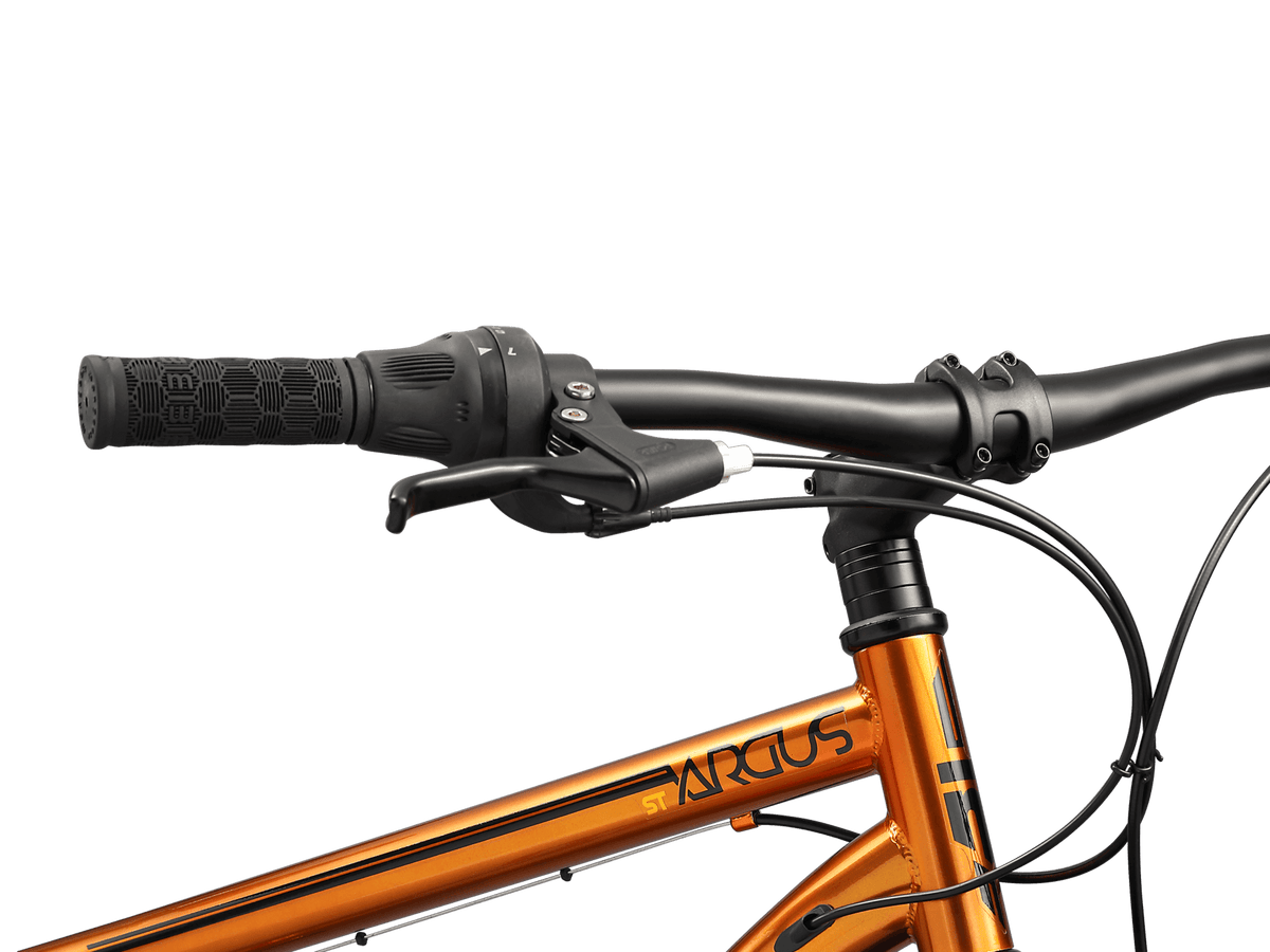 Argus ST | Adult Hardtail Fat Tire Bike | 26