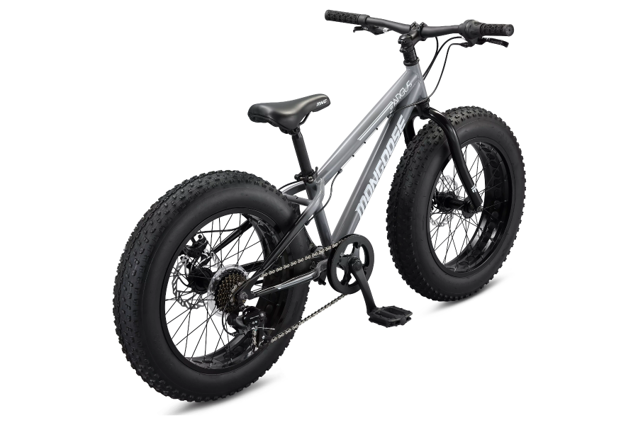 Argus ST | Adult Hardtail Fat Tire Bike | 20